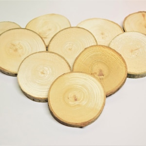 Organic poplar wood slices-chews, for chinchillas, rabbits, degus, rats, guinea pigs, package of 6-22 slices, 2-3 inch diameter, pet toy