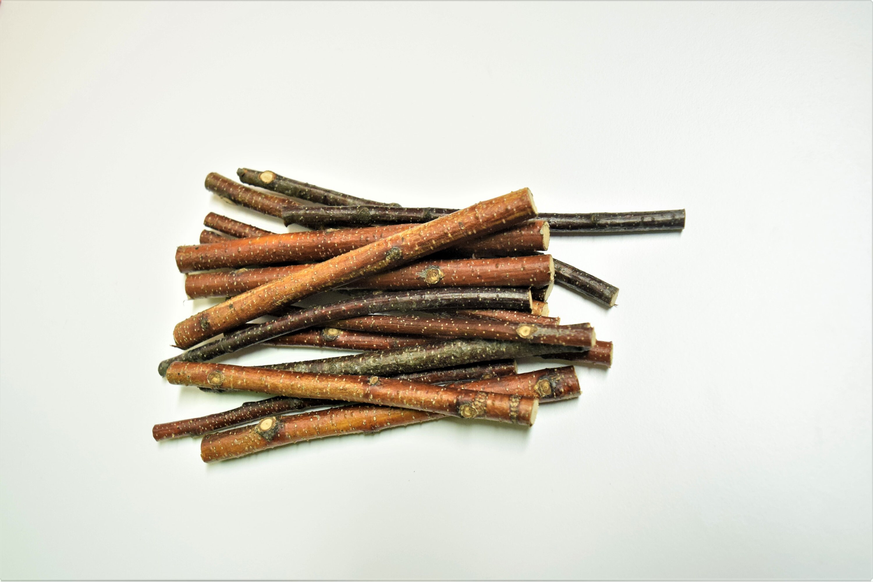 Organic birch sticks, 14 oz-400g package of 40-70 sticks, 5-6 inch long, real birch wood, pet chew toys for hamsters, gerbils, rodent food