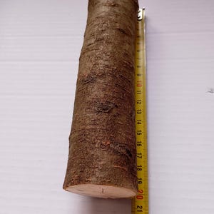 Tjock slånpinne, enda slånpinne av utmärkt kvalitet, äkta slånträ, heminredning