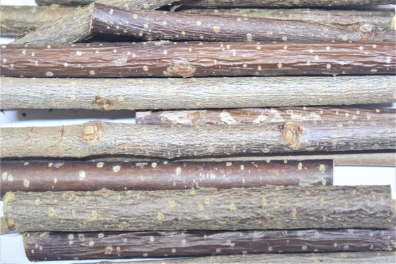 Masticabili Biologici Di Nocciola, Confezione Da 14 Oz-400 G Da 50-70 Bastoncini, Lunghi 5-6 Pollici, Vero Legno Di Nocciolo, Giocattoli Da Masticare Per Animali Domestici Per Cincillà, Conigli - Italia - 4