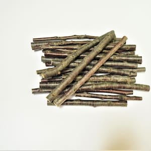 Organic cherry sticks, 14 oz-400g package of 40-70 sticks, 5-6 inch long, real cherry wood, pet chew toys for hamsters, gerbils, rodent food
