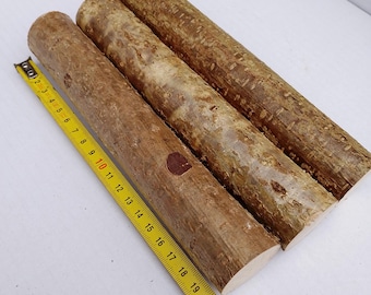 3 x hazel sticks 20 cm (about 8 inch) long, a bundle of 3 branches, real hazel nut wood, craft decor, hazel wood stick craft supply