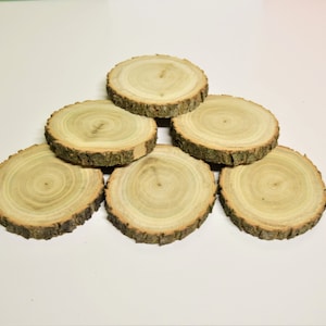Organic acacia wood slices - chews, for chinchillas, rabbits, degus, rats, guinea pigs, package of 6-22 slices, 2-3 inch diameter, pet toys