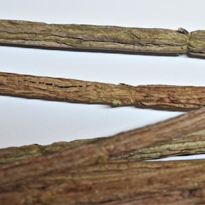 Op de afbeelding: Close-up van verschillende bruine en groene gedroogde stokken. De stokken hebben een ruw, getextureerd oppervlak en zijn in een kruispatroon gerangschikt.