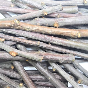 Organic real apple wood sticks, 14 oz-400g package of 50-70 sticks, 6 inch sticks, pet chew toys for chinchilla, rabbits, guinea pigs