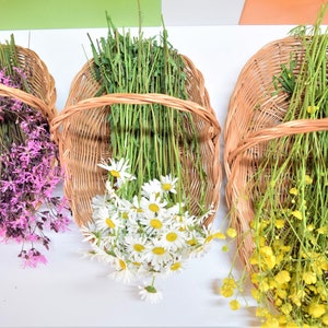 Pu&ograve; includere: Tre cesti di vimini pieni di diversi tipi di fiori. Il cesto a sinistra contiene fiori rosa, il cesto centrale contiene fiori bianchi e il cesto a destra contiene fiori gialli.