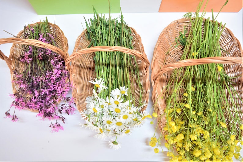 Pu&ograve; includere: Tre cesti di vimini pieni di diversi tipi di fiori. Il cesto a sinistra contiene fiori rosa, il cesto centrale contiene fiori bianchi e il cesto a destra contiene fiori gialli.