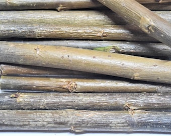 Organic willow sticks, 14 oz-400g package of 50-70 sticks, 5-6 inch long, real 100% willow wood, pet chew toys for chinchilla, rabbits