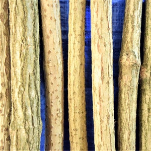 3x elder sticks 96 cm 37 inches long, a bundle of 3 sticks, elderberry wood, craft décor, elder branches, thick elder sticks craft supply image 5