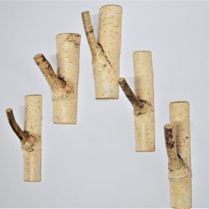 5 ganchos de pared autoadhesivos de abedul, ganchos autoadhesivos para ramas de árbol, perchas de madera, juego de 5 ganchos de pared de madera, birke wandhaken
