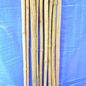 3x elder sticks 96 cm 37 inches long, a bundle of 3 sticks, elderberry wood, craft décor, elder branches, thick elder sticks craft supply image 7