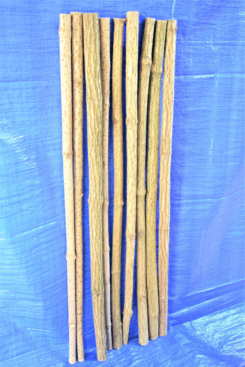 3x elder sticks 96 cm 37 inches long, a bundle of 3 sticks, elderberry wood, craft décor, elder branches, thick elder sticks craft supply image 7