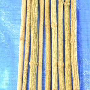 3x elder sticks 96 cm 37 inches long, a bundle of 3 sticks, elderberry wood, craft décor, elder branches, thick elder sticks craft supply image 3