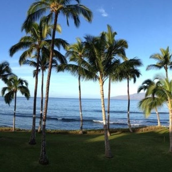 Maui, Hawaii - Panoramic