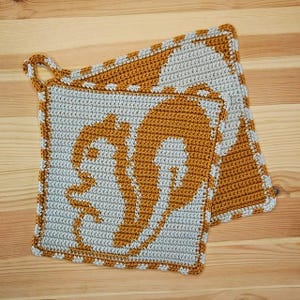 Könnte beinhalten: Zwei quadratische, gehäkelte Topflappen. Jeder Topflappen hat einen hellgrauen Hintergrund mit einem großen, orangefarbenen Eichhörnchen-Design in der Mitte. Die Ränder sind mit orangefarbenem und weißem Häkelwerk verziert. Ein Topflappen hat eine Schlaufe zum Aufhängen.