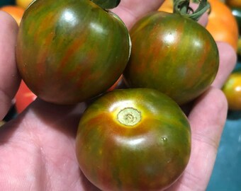 Wild Tiger Tomato Seeds