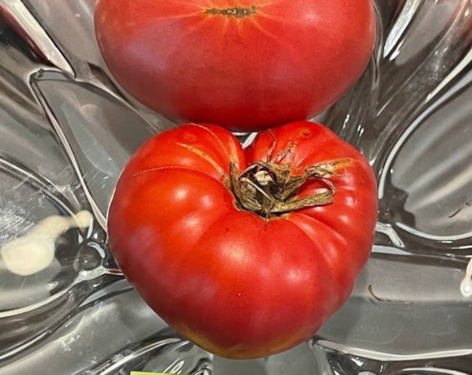 Mikado Tomato Seeds