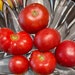 see more listings in the Tomatoes section