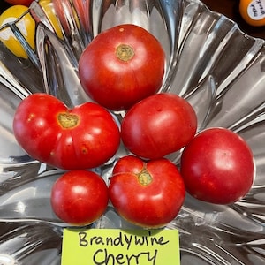 Brandywine Cherry Tomato Seeds- RARE