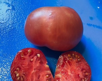 Brandywine From Croatia Tomato Seeds