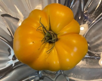 Brandywine Yellow Tomato Seeds