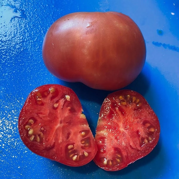 Brandywine From Croatia Tomato Seeds