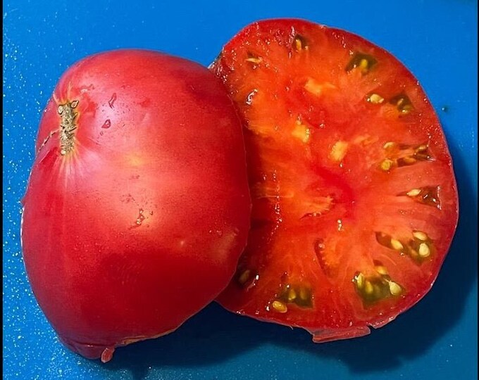 Brandywine Sudduth's Strain Tomato Seeds Etsy