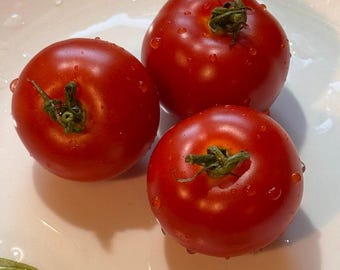 Marble Mystery Tomato Seeds