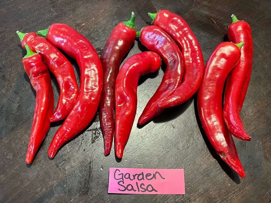 Garden Salsa Pepper Seeds - Etsy