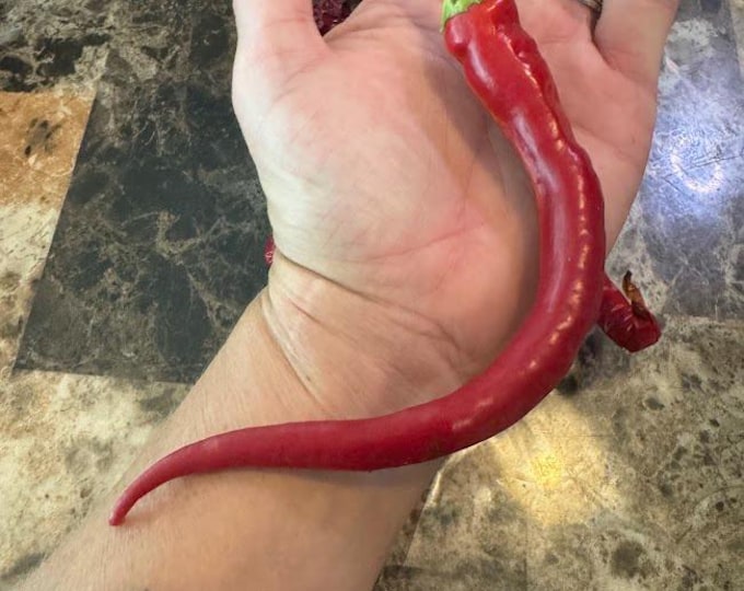 Shuhorn longhorn Pepper Seeds