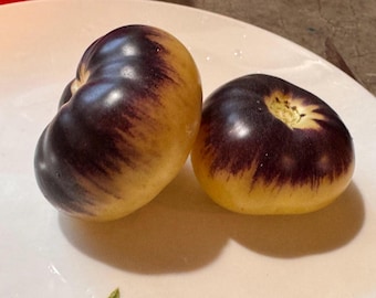 Purple Sunrise Cream Tomato Seeds
