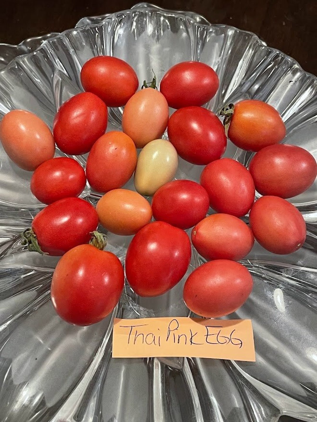 Thai Pink Egg Heirloom Tomato Seeds Etsy