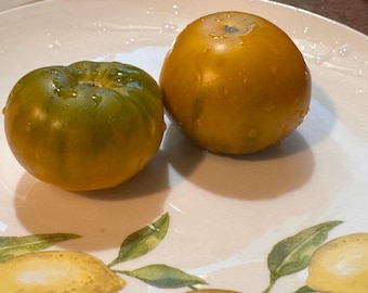 Green Velvet Tomato Seeds