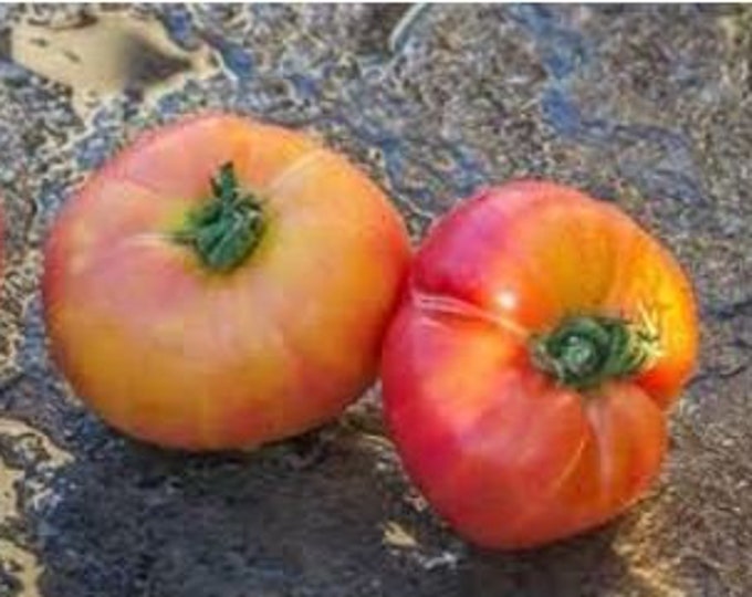 Nature's Riddle Tomato Seeds - Etsy