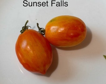 Sunset Falls Tomato Seeds