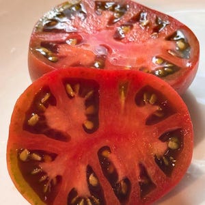Clear Lake Heirloom Tomato Seeds