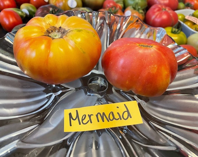 Mermaid Tomato Seeds