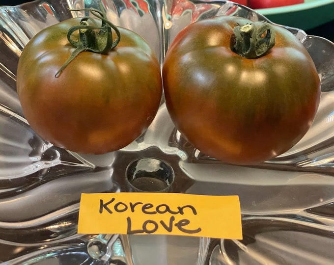 Korean Love Tomato Seeds