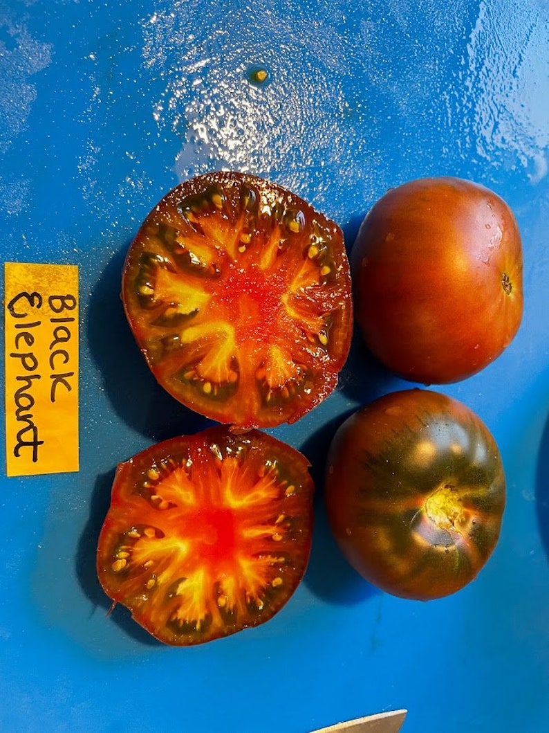 Black Elephant Tomato Seeds image 8