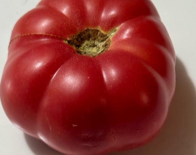 Mémé de Beauce Tomato Seeds