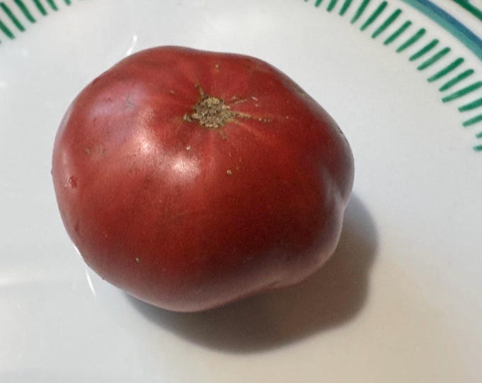 Fejee Improved / True Beefsteak Tomato Seeds
