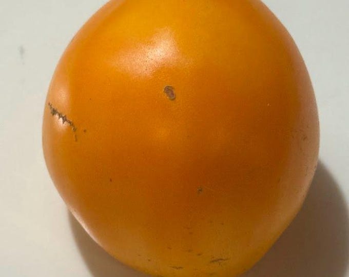 Verna Orange Tomato Seeds