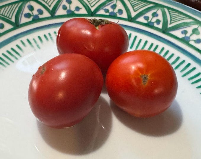 Matchelss Austin's Strain Tomato Seeds