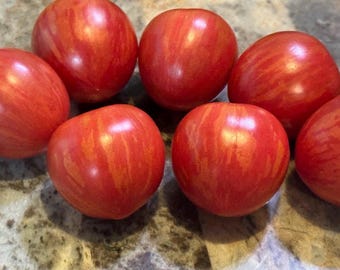 Short Circuit Tomato Seeds