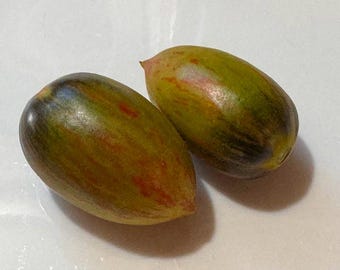 Magic Bullet Tomato Seeds