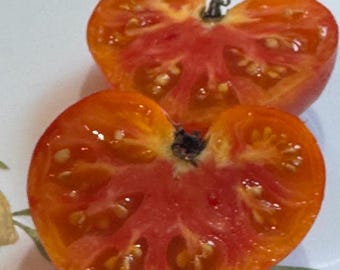 Coral Queen Tomato Seeds