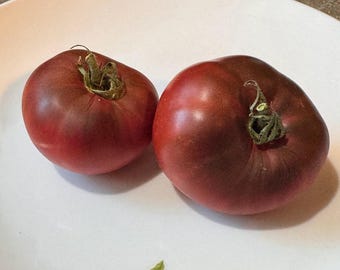 Marizol Maroon Tomato Seeds
