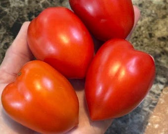 Northern Ruby Paste Tomato Seeds