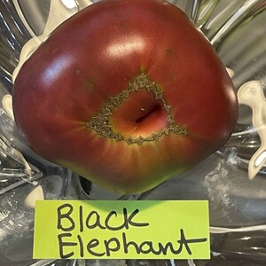 Black Elephant Tomato Seeds image 9