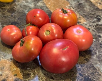 Tibet Apple Tomato Seeds